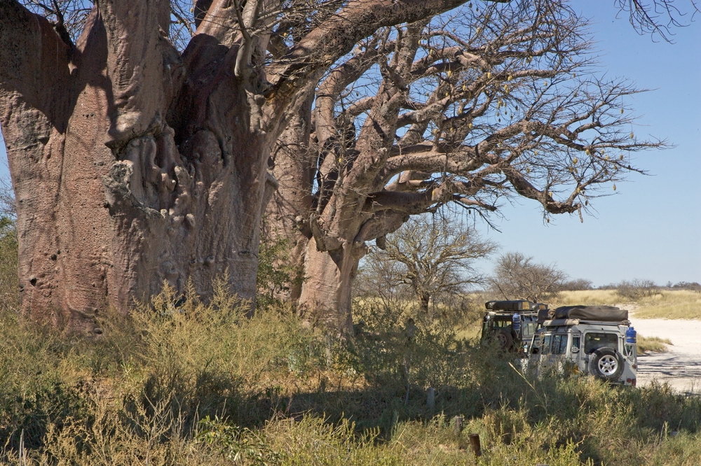 Nxai Pan National Park