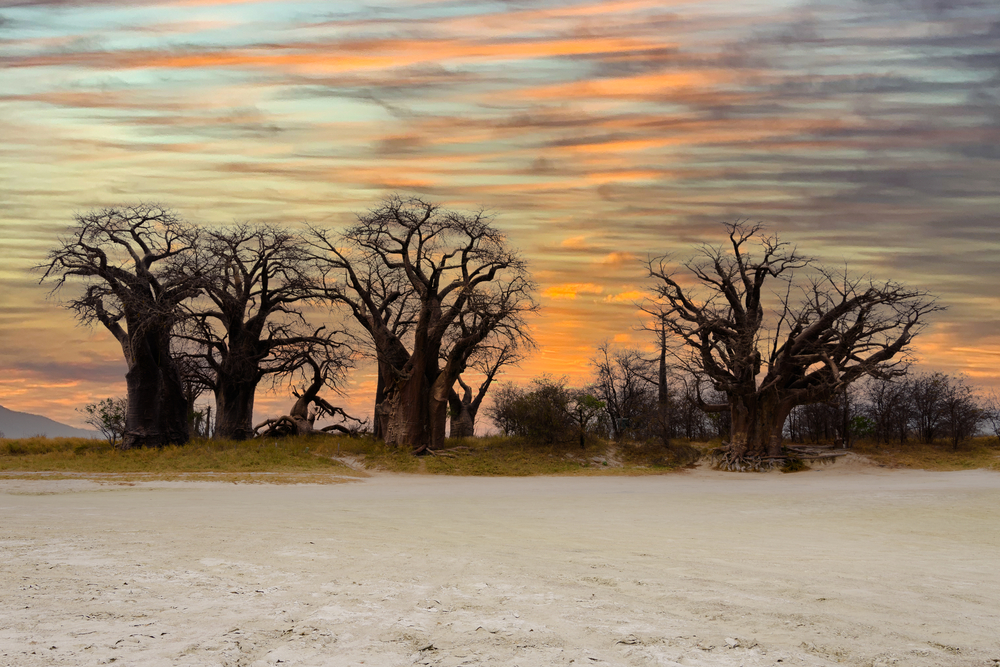 Nxai Pan National Park