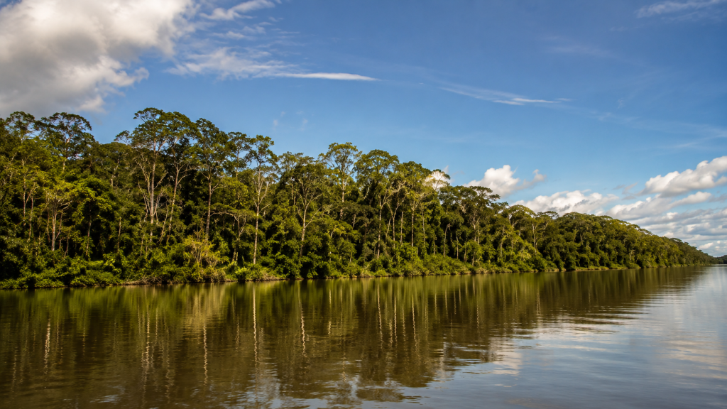 Amacayacu National Park