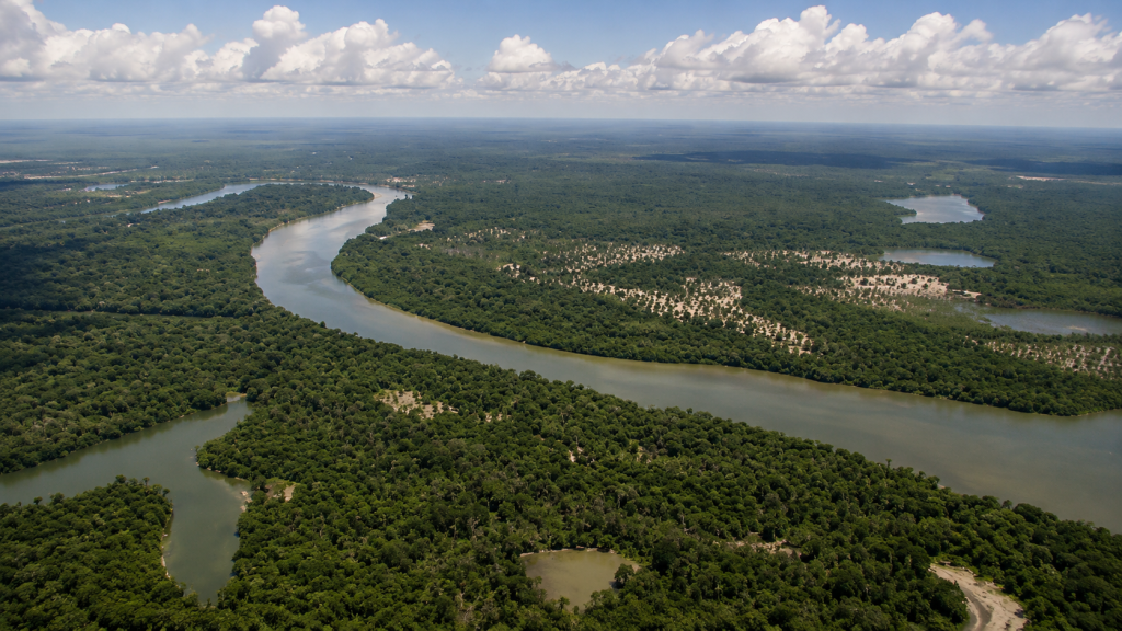 Cahuinari National Park