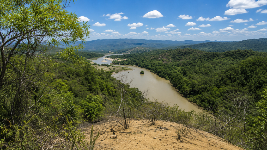Cerros de Amotape National Park