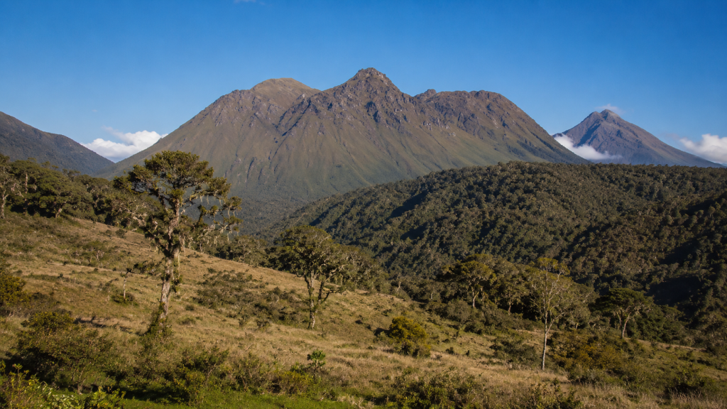 Doña Juana-Cascabel Volcanic Complex National Park