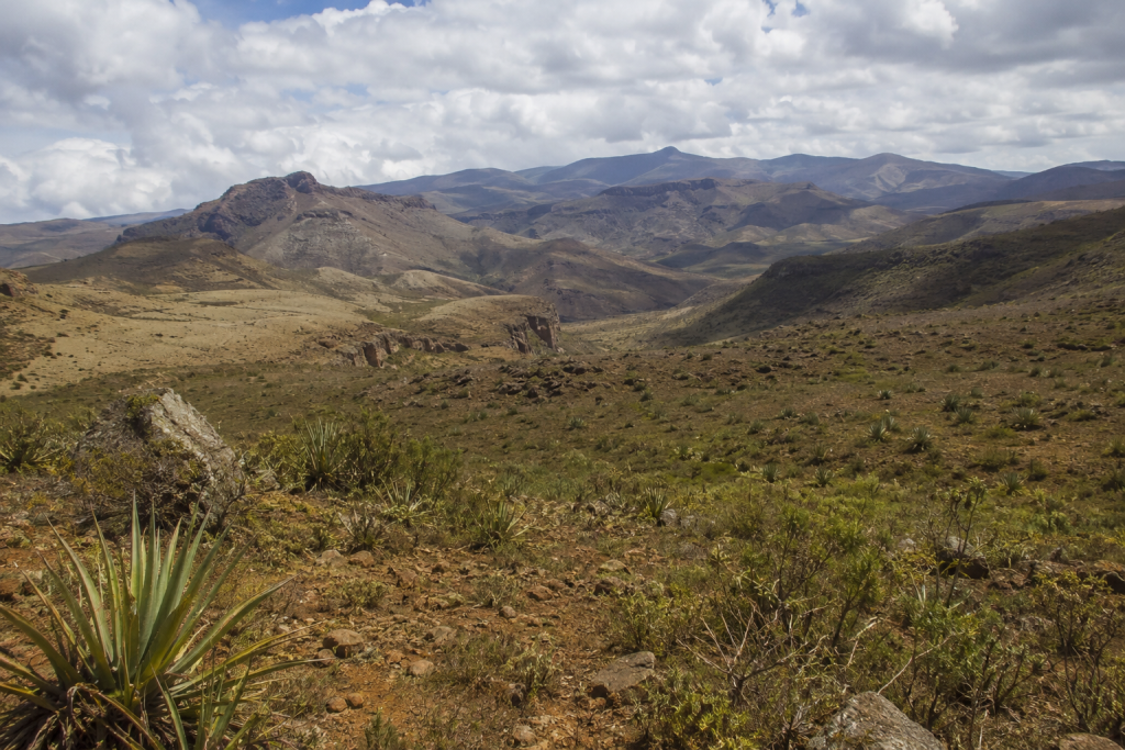 Iriqui National Park