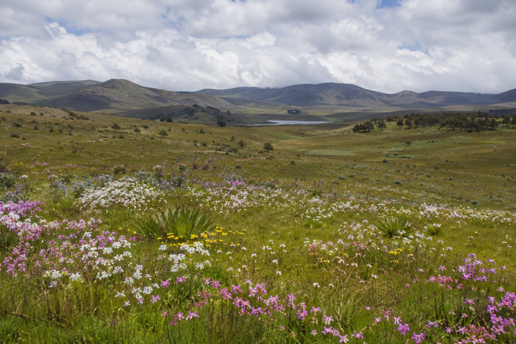 Kitulo National Park