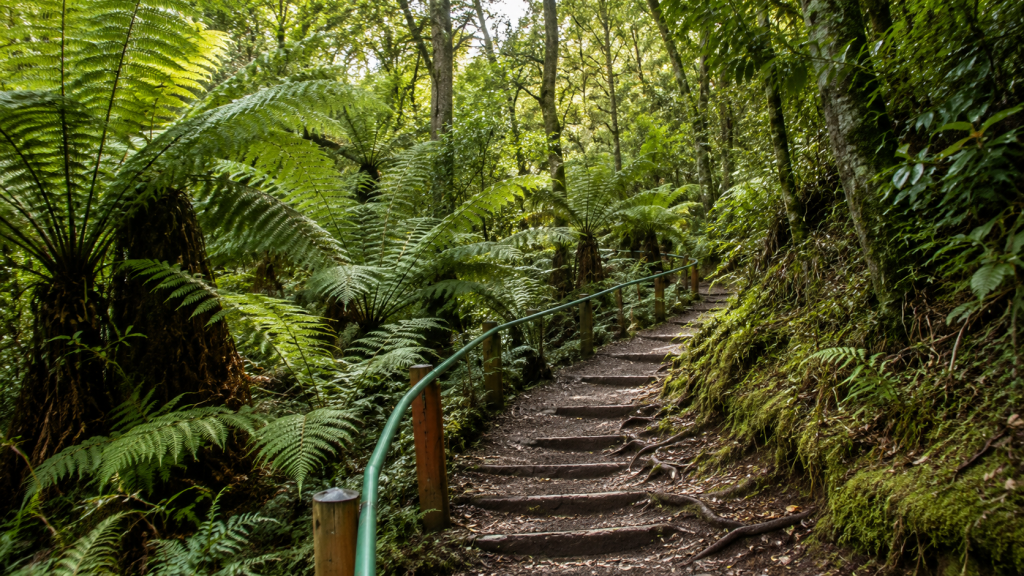 Kokoda Trail National Park