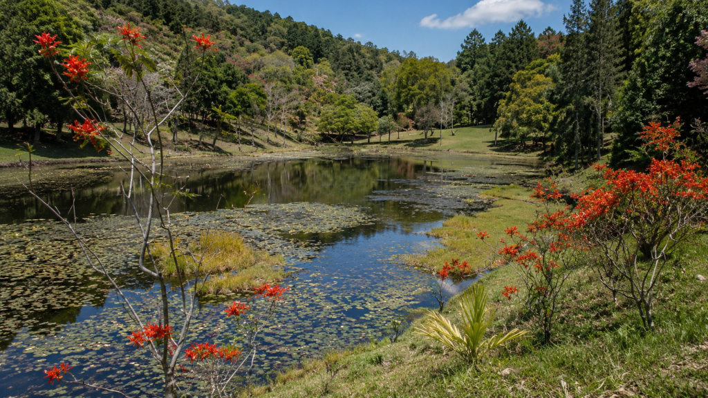McAdam National Park