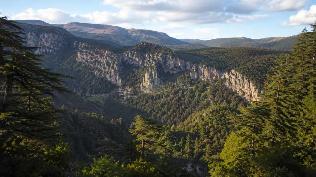 Tazekka National Park